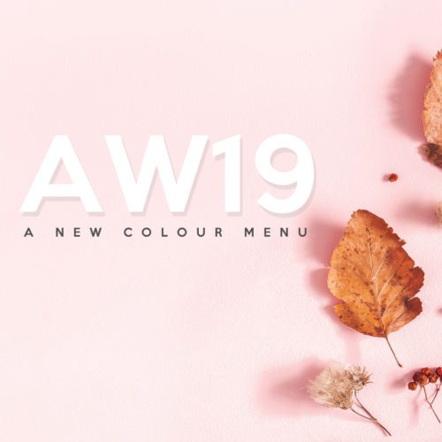 Muse of London launch new hair colour menu for AW19 3