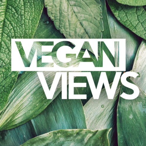 The evolution of natural ingredients and veganism in the hair industry By Debbie Digby.