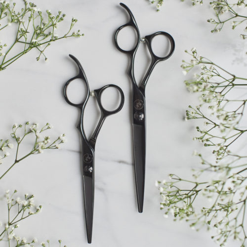 Turn over a new leaf with LeafScissors