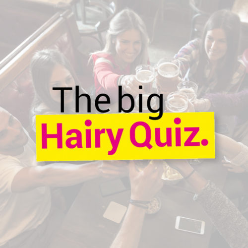 The Big Hairy Quiz | The online 'pub quiz' for hairdressers!