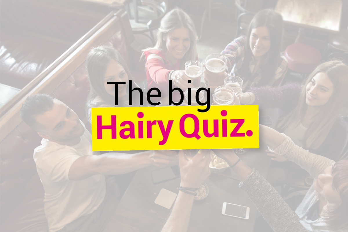 The Big Hairy | The online 'pub quiz' for hairdressers! - Professional