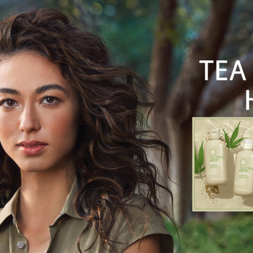 NEW Tea Tree Hemp | PRODUCT SPOTLIGHT