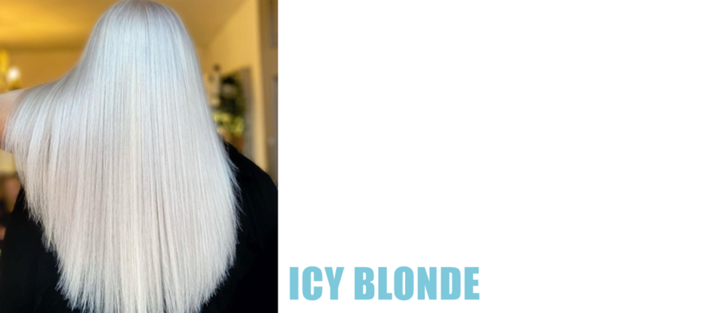 Ice Ice Baby | Winter Blondes 4