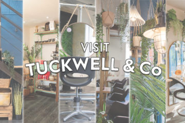 Tuckwell & Co | Visit 1
