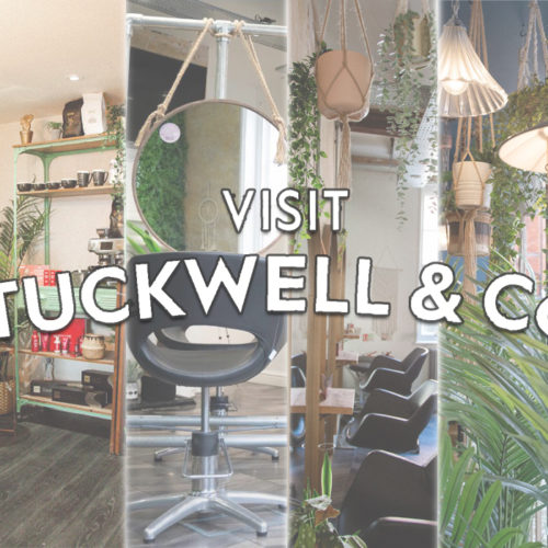 Tuckwell & Co | Visit 1