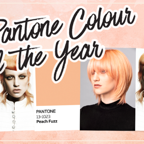 Pantone Colour of the Year 6