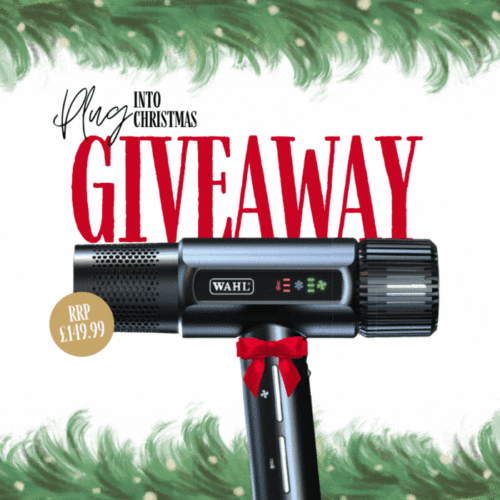 Day 9 | WIN a Vanquish Hair Dryer from WAHL