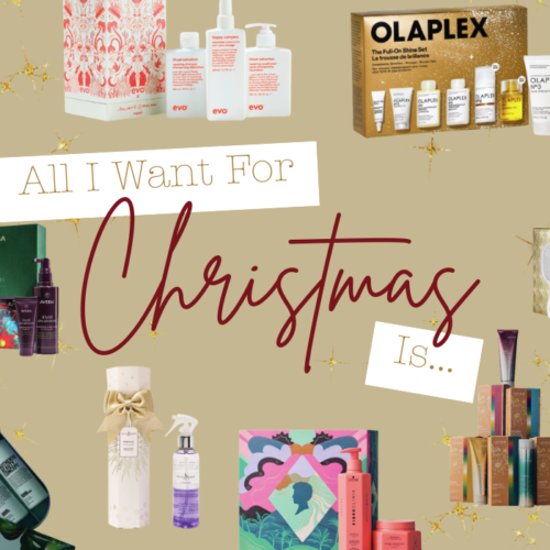 All I Want For Christmas Is...