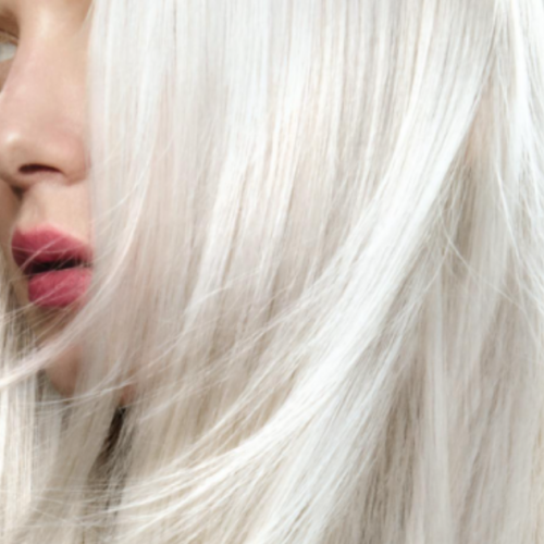 Our January/February 2026 Issue is OUT NOW!