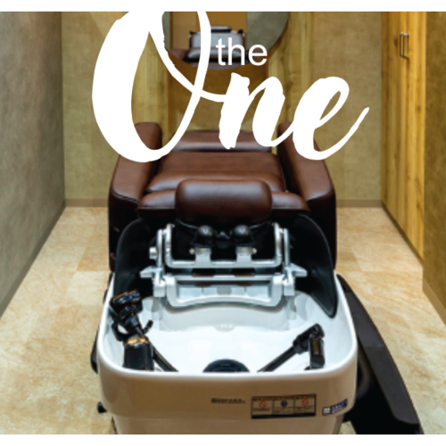 THE ONE | Takara Belmont